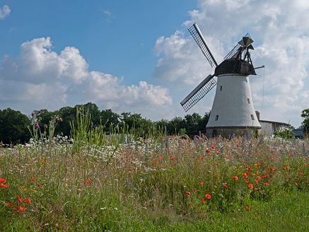 Lechtinger Mühle Wallenhorst
