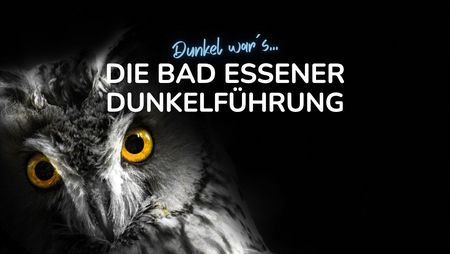 Banner mit Schriftzug Bad Essener Dunkelführung mit Foto einer Eule